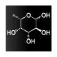 TFucoidan100