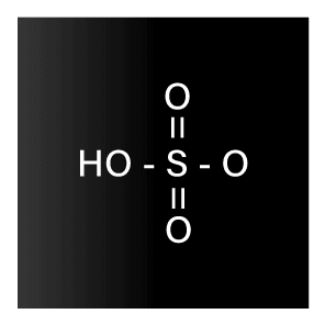 TFucoidan100