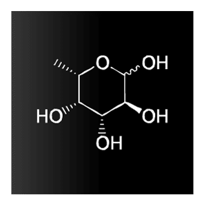 TFucoidan100